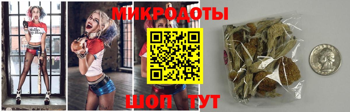 Новоалтайск  цены наркотик  Вход с VPN  Псилоцибиновые грибы мухоморы  Псилоцибиновые грибы Magic Shrooms 